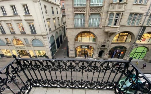 Centre 3 pieces place Kleber avec parking