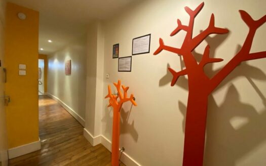 Centre 3 pieces place Kleber avec parking