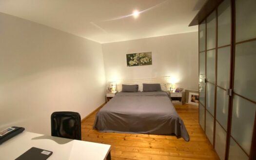 Centre 3 pieces place Kleber avec parking