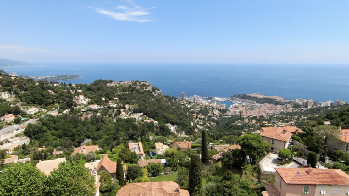 video image
