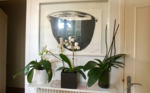 Villa la Californie, Cannes