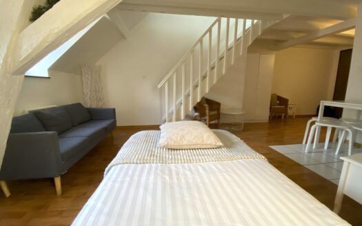 Appartement Marais Vert