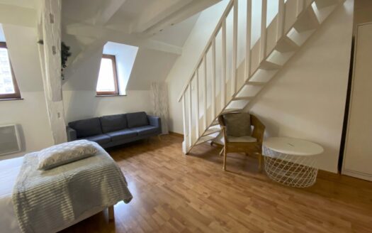 Appartement Marais Vert