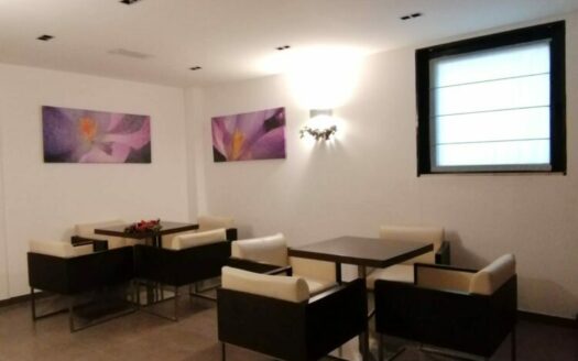 Protégé : Vente Hotel à Beausoleil frontière Monaco