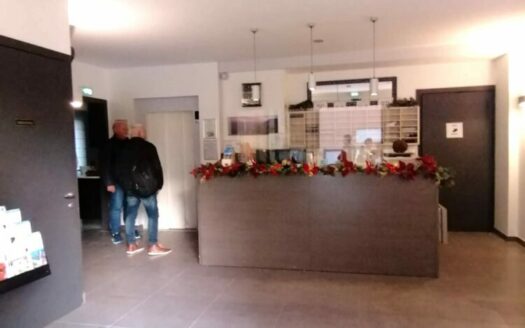 Protégé : Vente Hotel à Beausoleil frontière Monaco